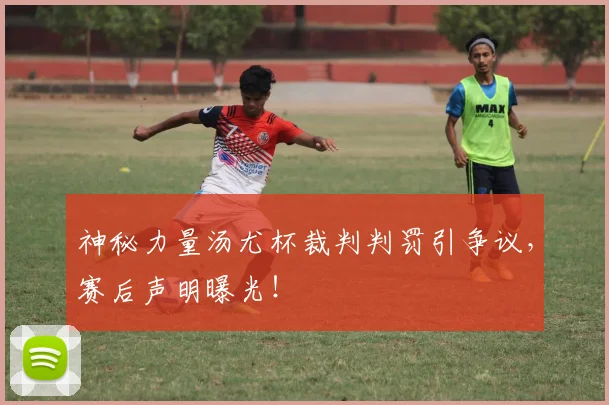 神秘力量汤尤杯裁判判罚引争议,赛后声明曝光!